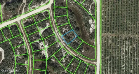 121 Danby Drive Lake Placid FL 33852