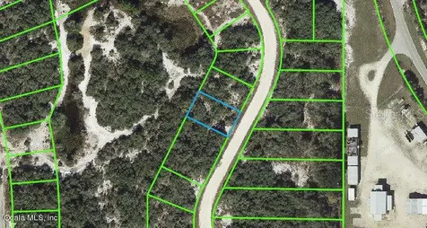 220 Lakeland Drive Lake Placid FL 33852