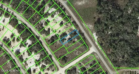 811 Cr 29 Lake Placid FL 33852