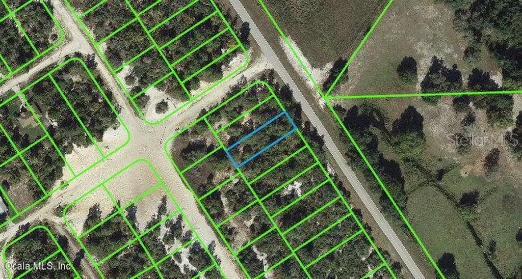 1021 Cr 29 Lake Placid FL 33852