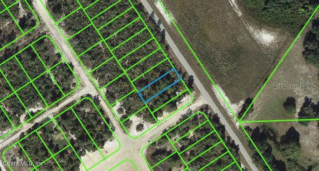 1011 Cr 29 Lake Placid FL 33852
