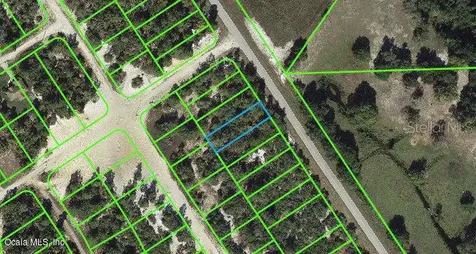 1023 Cr 29 Lake Placid FL 33852
