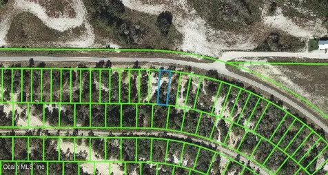 733 Cr 29 Lake Placid FL 33852