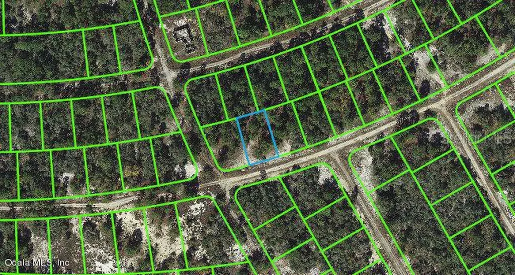 382 Hossler Avenue Lake Placid FL 33852