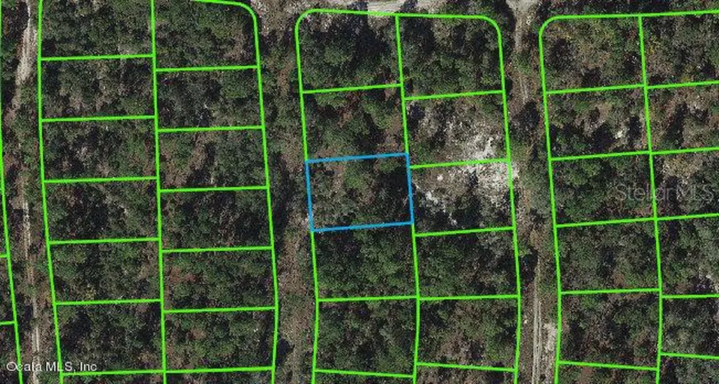 269 Suwannee Drive Lake Placid FL 33852