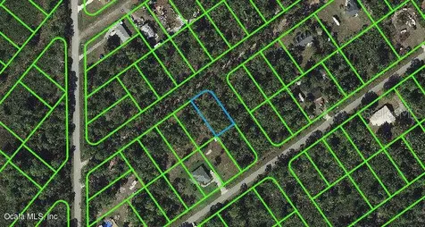 1011 Dearing Street Lake Placid FL 33852