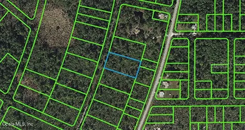737 Dolphin Avenue Lake Placid FL 33852