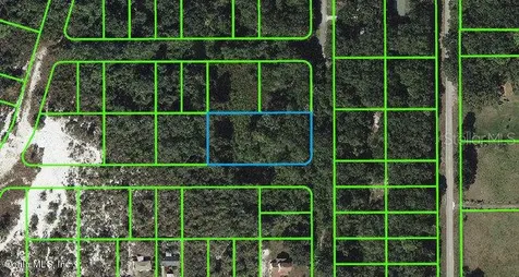 258 Marshall Avenue Lake Placid FL 33852
