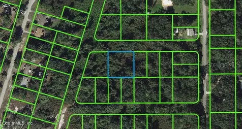 1503 Scrub Oak Street Lake Placid FL 33852
