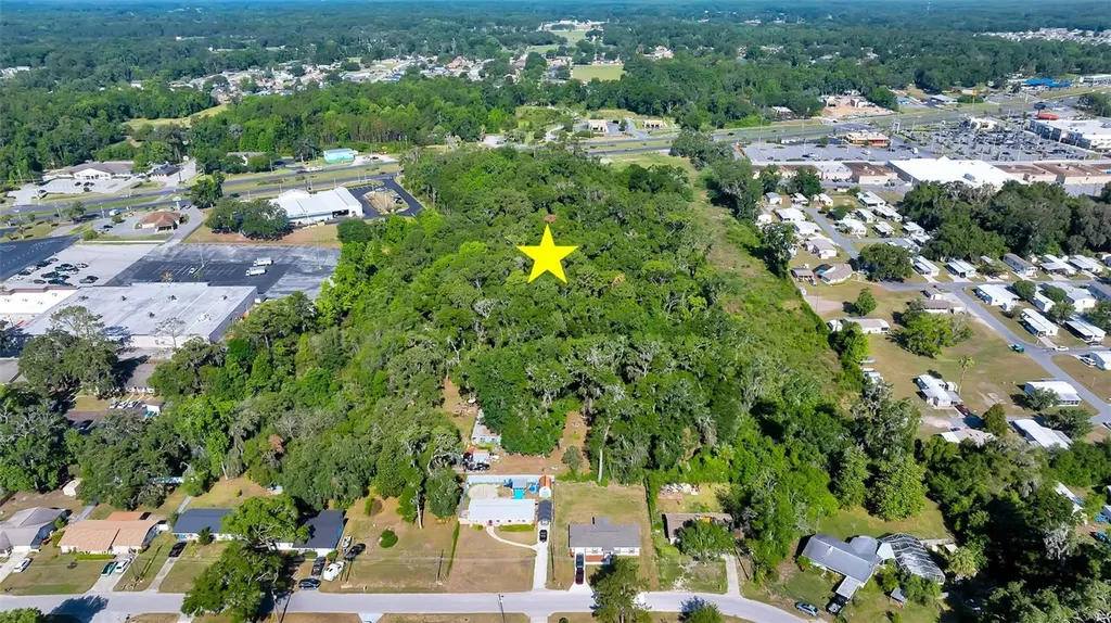4799 SE 106th Place Road Belleview FL 34420