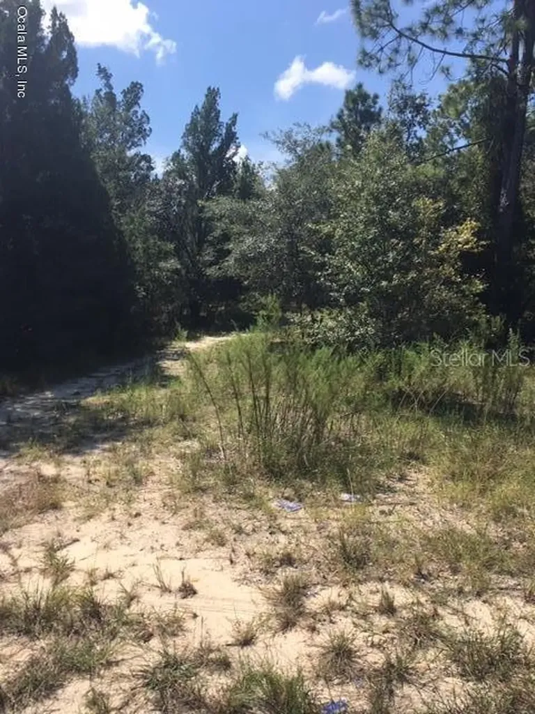 5417 W Blade Lane Dunnellon FL 34433