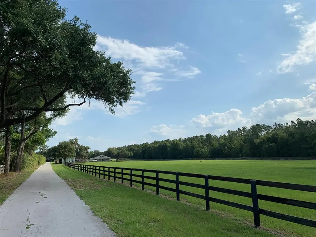 5551 SE Highway 42 Summerfield FL 34491