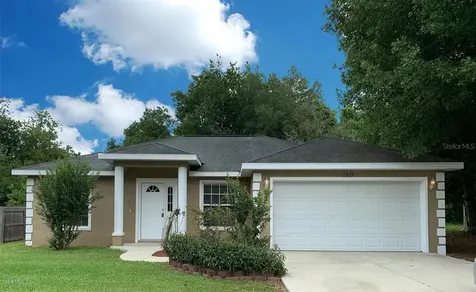 7387 SE 116th Street Road Belleview FL 34420