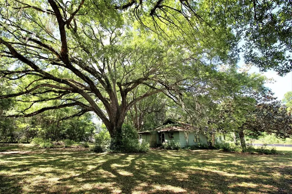4320 NW 149th Place Reddick FL 32686