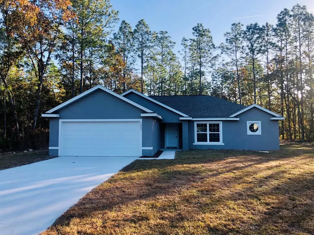 7033 SW 131st Loop Ocala FL 34473