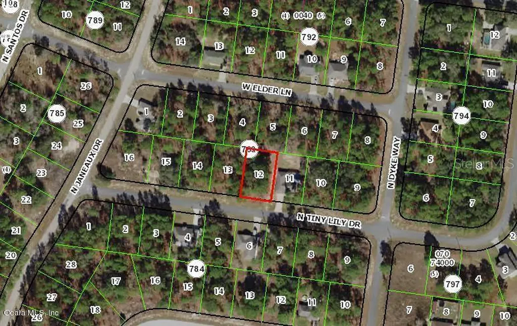 7944 N Tiny Lily Drive Citrus Springs FL 34434