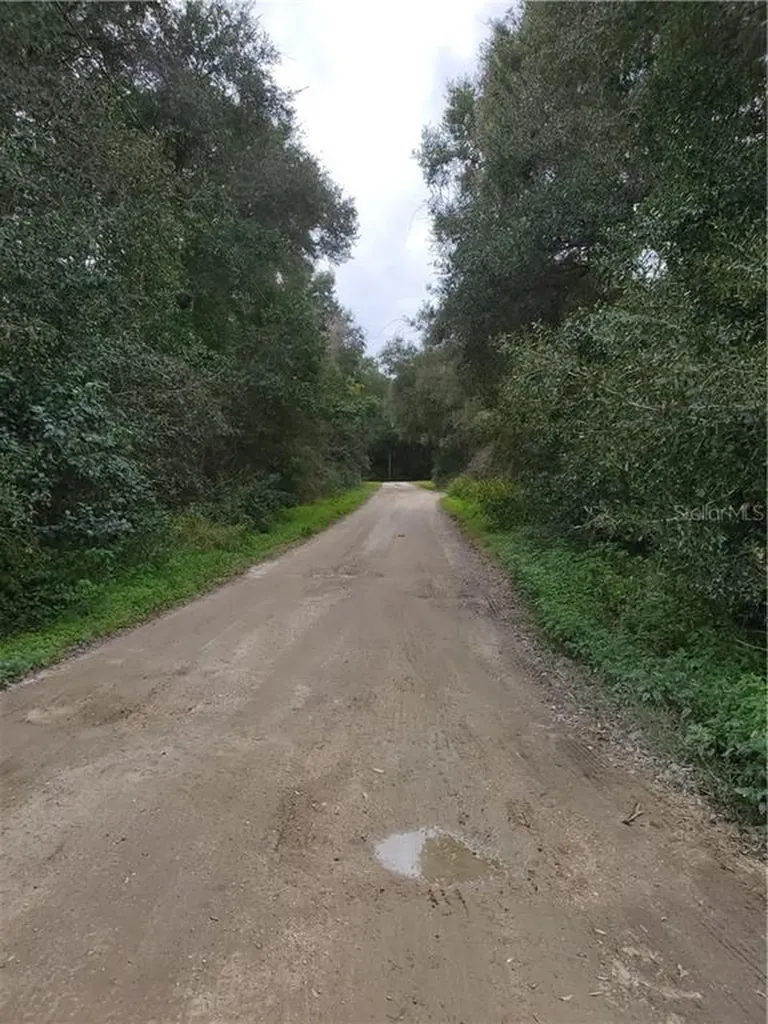 1620 Firefly Lane Deland FL 32720