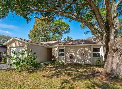 1914 Saginaw Court Oldsmar FL 34677