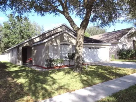8024 Terrace Ridge Drive Temple Terrace FL 33637