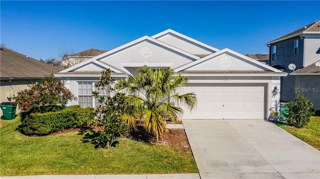 30351 Arrochar Street Wesley Chapel FL 33545