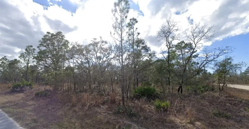 12098 Manassas Avenue Weeki Wachee FL 34614
