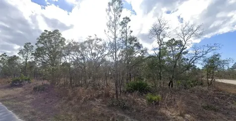 12098 Manassas Avenue Weeki Wachee FL 34614