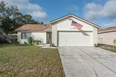11323 Blackbark Drive Riverview FL 33579