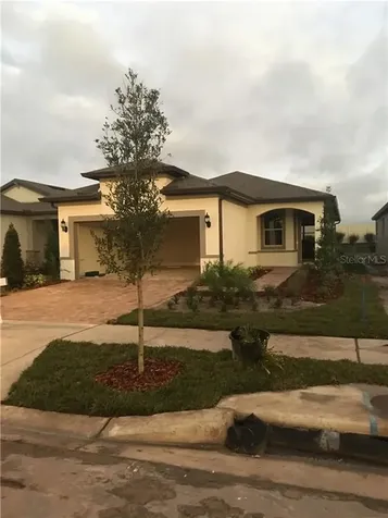 19319 Coastal Shore Terrace Land O Lakes FL 34638
