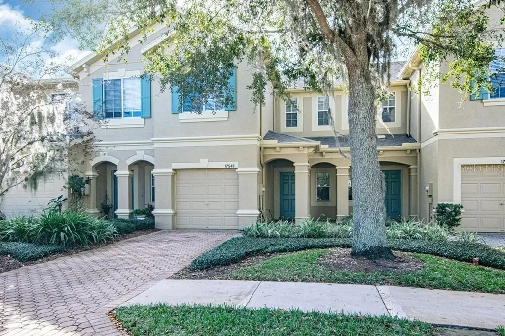 17548 Stinchar Drive Land O Lakes FL 34638