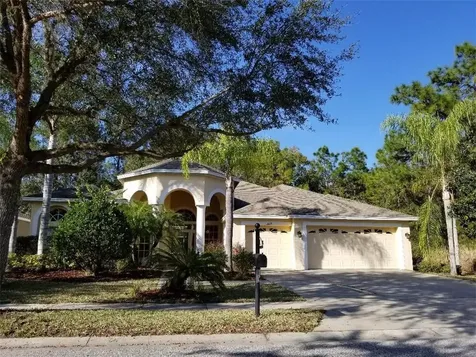21229 Lake Talia Boulevard Land O Lakes FL 34638