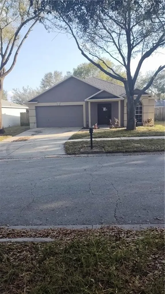 1815 Ellington Court Valrico FL 33594