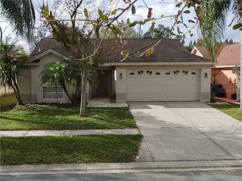 10017 Cedar Dune Drive Tampa FL 33624