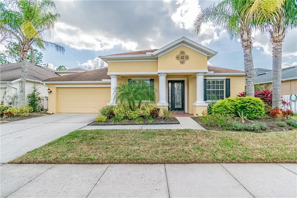 27136 Firebush Drive Wesley Chapel FL 33544