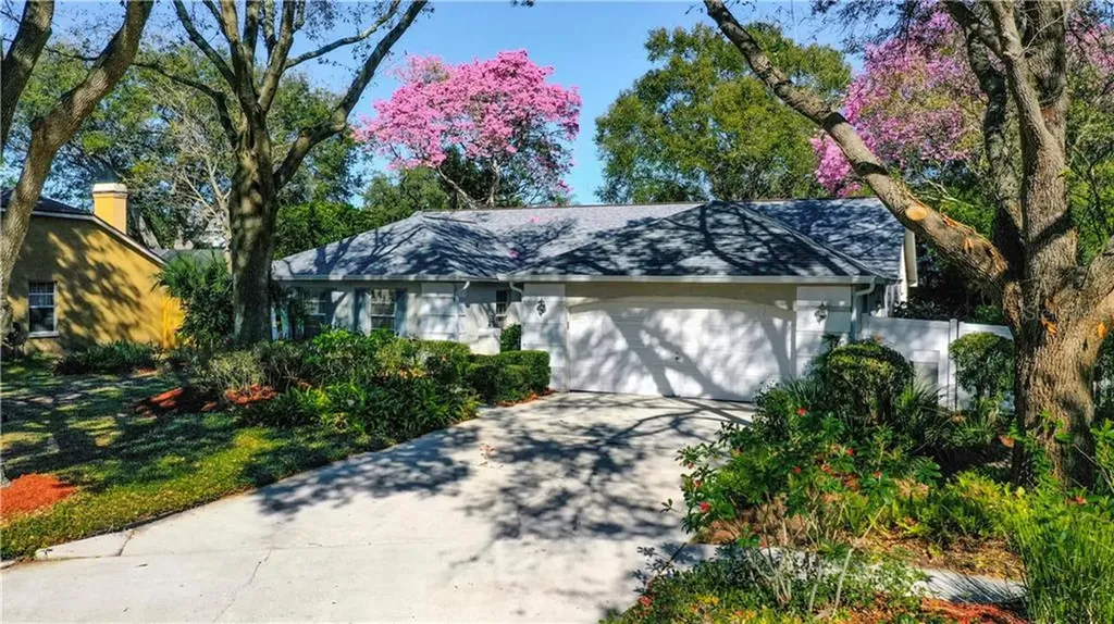 1408 Midoneck Court Valrico FL 33596
