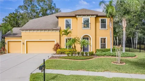 22345 Oakville Drive Land O Lakes FL 34639