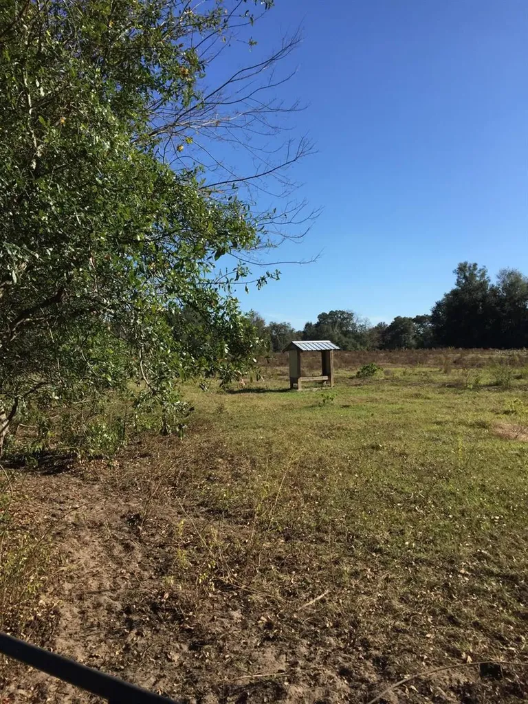 7237 NE 33rd Court Anthony FL 32617