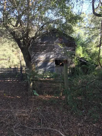 7237 NE 33rd Court Anthony FL 32617