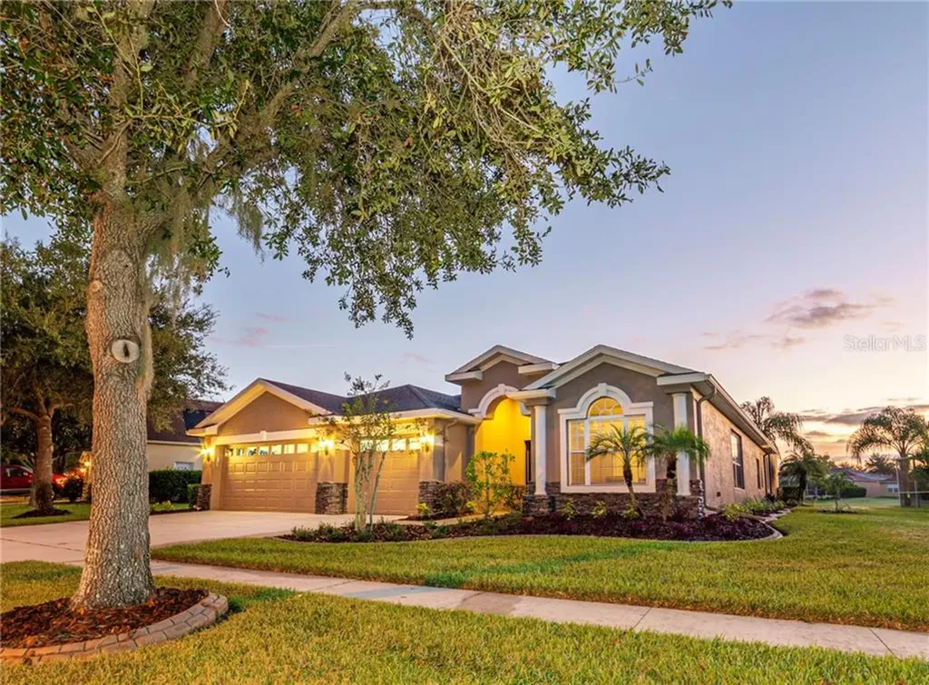 16128 Bridgedale Drive Lithia FL 33547