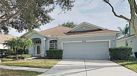 12526 Burgess Hill Drive Riverview FL 33579