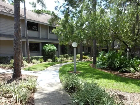 402 Old Mill Pond Road Palm Harbor FL 34683