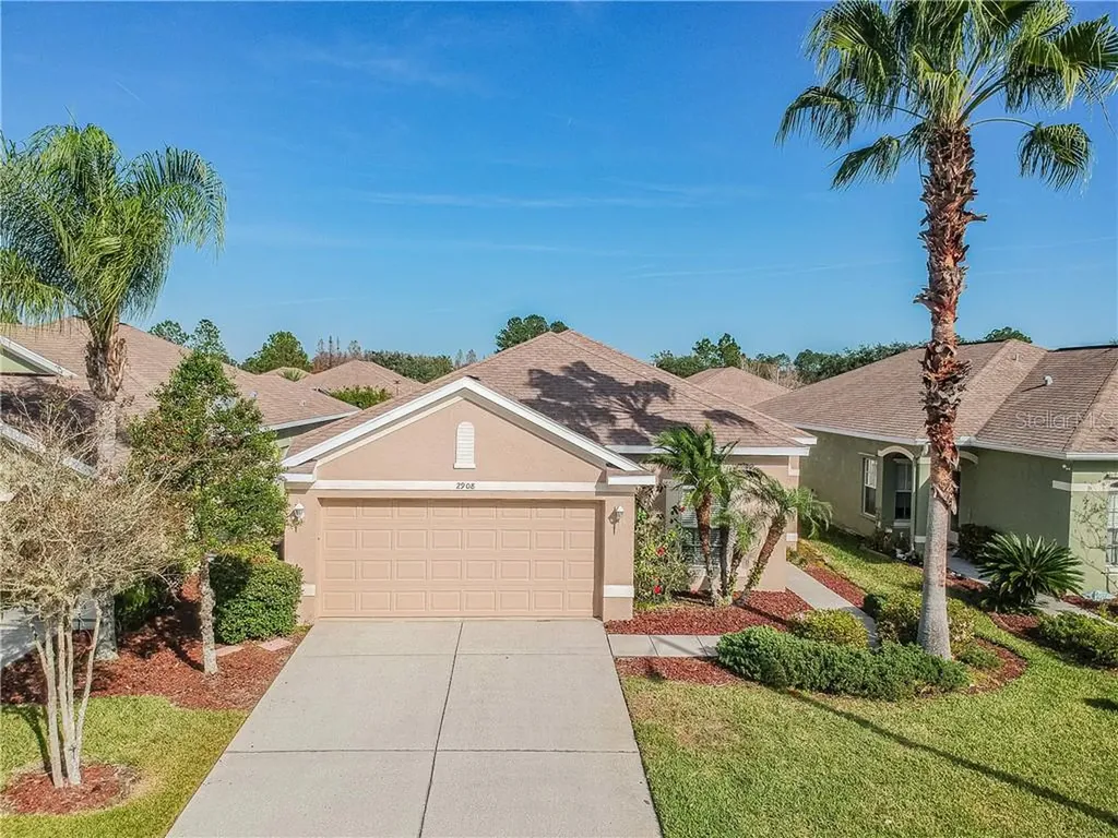 2908 Banyan Hill Lane Land O Lakes FL 34639