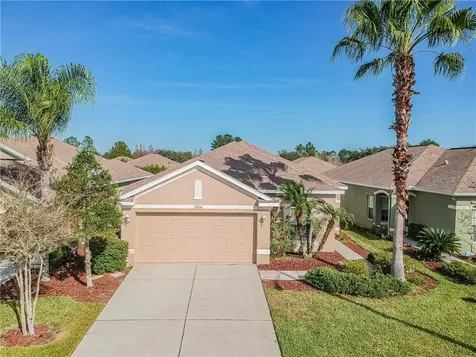 2908 Banyan Hill Lane Land O Lakes FL 34639