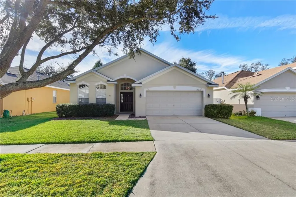 7306 Brightwater Oaks Drive Tampa FL 33625