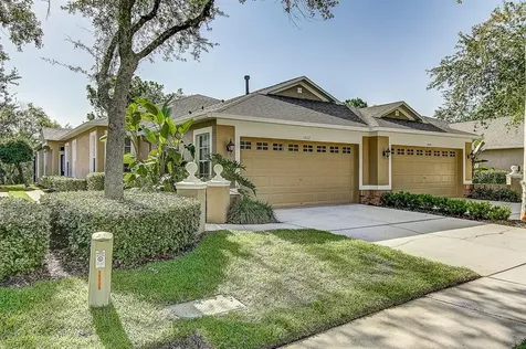 19117 Lake Audubon Drive Tampa FL 33647