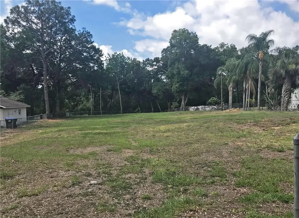 1300 Surf Avenue Apopka FL 32703