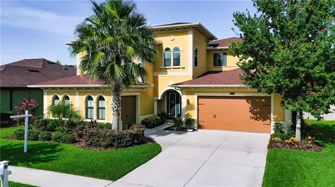32069 Pinfeld Drive Wesley Chapel FL 33543