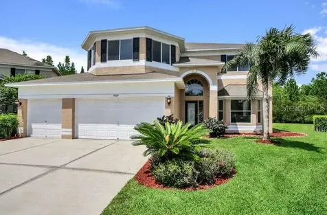 19329 Sandy Springs Circle Lutz FL 33558