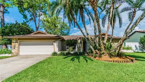 14195 Fennsbury Drive Tampa FL 33624