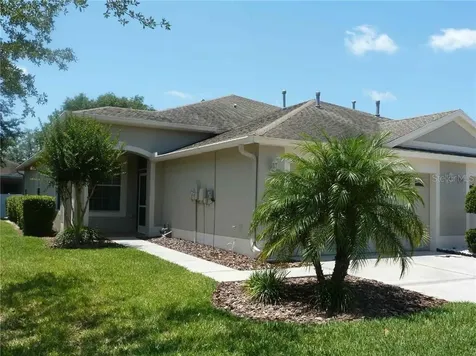 30946 Whitlock Drive Wesley Chapel FL 33543