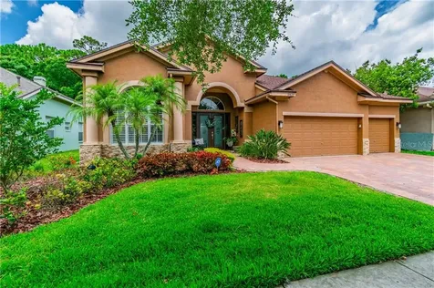 10633 Tavistock Drive Tampa FL 33626